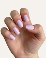 Lavender Dream
